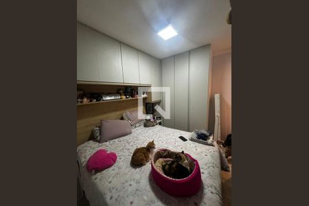 Foto 40 de apartamento à venda com 2 quartos, 49m² em Cambuci, São Paulo