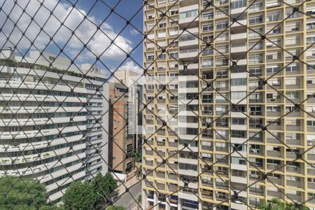 Vista da Sala de apartamento para alugar com 3 quartos, 287m² em Higienópolis, São Paulo