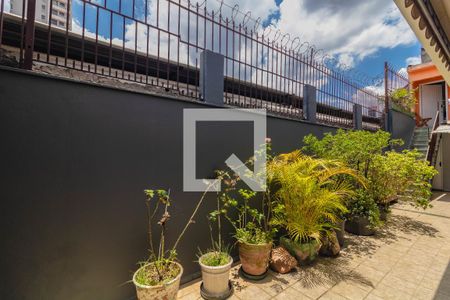 Quarto 1 de casa para alugar com 2 quartos, 200m² em São Judas, São Paulo