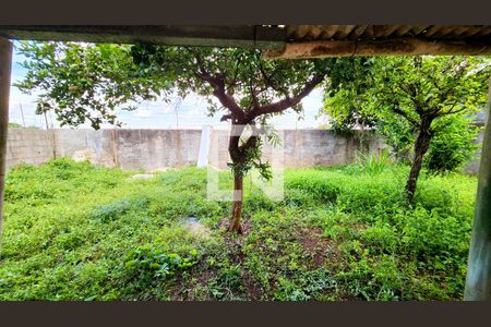 Casa à venda com 450m², 4 quartos e 3 vagas Casa à venda com 450m², 4 quartos e 3 vagasQuintal