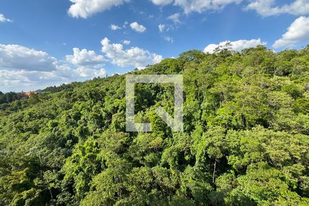 vista da Suíte 1 de apartamento para alugar com 3 quartos, 80m² em Alphaville, Santana de Parnaíba