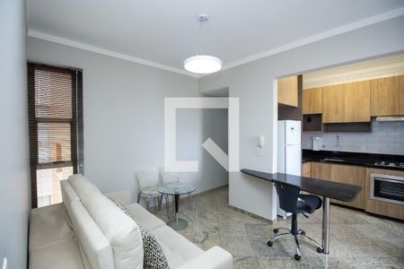 Sala de apartamento para alugar com 1 quarto, 48m² em Santo Antônio, Belo Horizonte