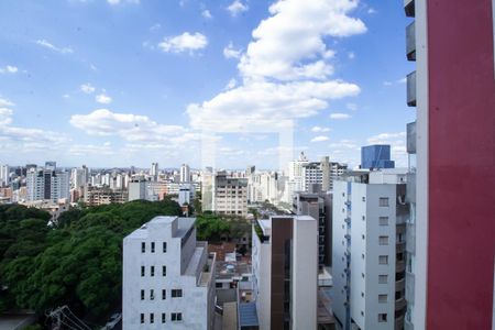 Vista da Varanda da Sala de apartamento para alugar com 1 quarto, 48m² em Santo Antônio, Belo Horizonte