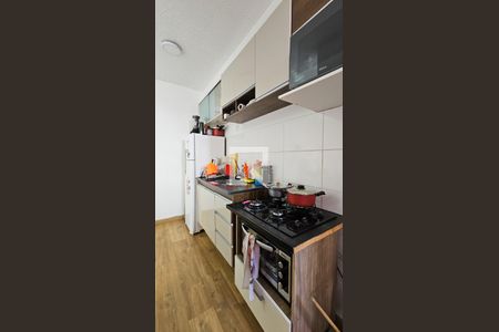 Cozinha de apartamento para alugar com 2 quartos, 38m² em Vila Santa Catarina, São Paulo