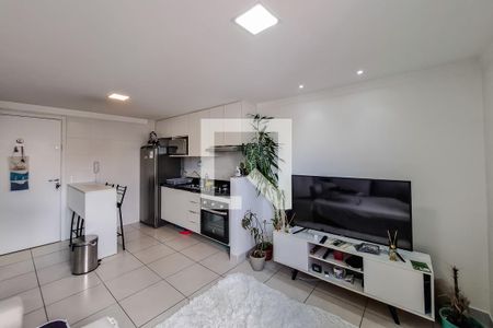 sala cozinha de apartamento para alugar com 1 quarto, 32m² em Cambuci, São Paulo