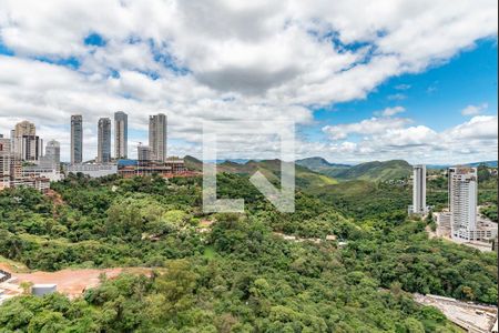 Sala 1 de apartamento para alugar com 2 quartos, 180m² em Vale do Sereno, Nova Lima