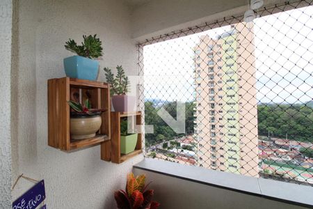 Sala - Varanda de apartamento à venda com 3 quartos, 72m² em Parque Mandaqui, São Paulo