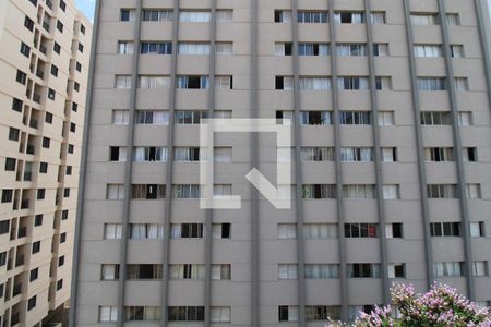 Vista Sala de apartamento para alugar com 1 quarto, 56m² em Bosque, Campinas