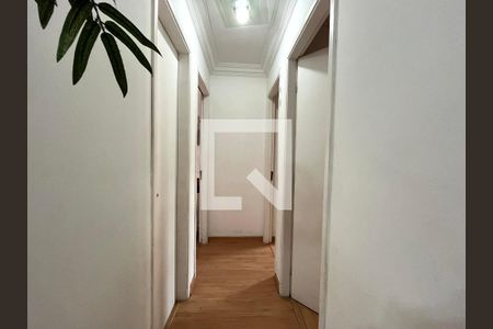 Corredor  de apartamento à venda com 3 quartos, 68m² em Jabaquara, São Paulo