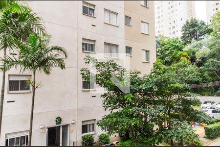 Vista da Sala de apartamento para alugar com 2 quartos, 51m² em Centro, Barueri