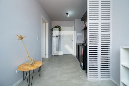 Sala/Cozinha de kitnet/studio para alugar com 1 quarto, 26m² em Vila Guarani (zona Sul), São Paulo