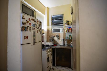 Cozinha de apartamento para alugar com 2 quartos, 48m² em Catete, Rio de Janeiro