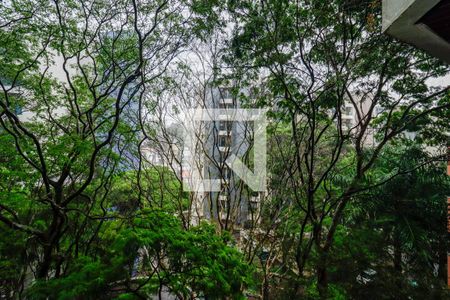 Vista da Varanda da Sala de apartamento à venda com 4 quartos, 260m² em Paraíso do Morumbi, São Paulo