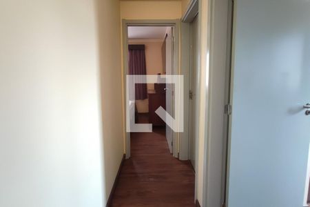 Corredor - Quartos de apartamento à venda com 3 quartos, 58m² em Jardim Paranapanema, Campinas