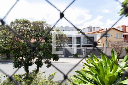 Vista da Suíte de apartamento para alugar com 3 quartos, 90m² em Santa Amelia, Belo Horizonte