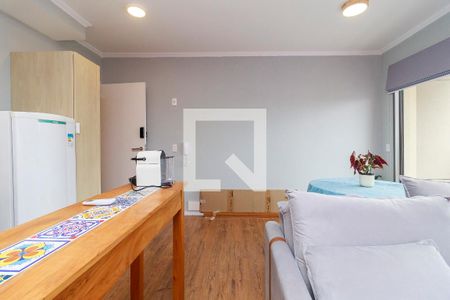 Sala de apartamento para alugar com 1 quarto, 45m² em Chácara Santo Antônio (zona Sul), São Paulo