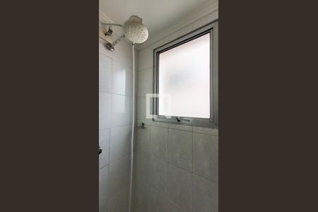 Banheiro da Suite de apartamento à venda com 3 quartos, 73m² em Ponte Preta, Campinas