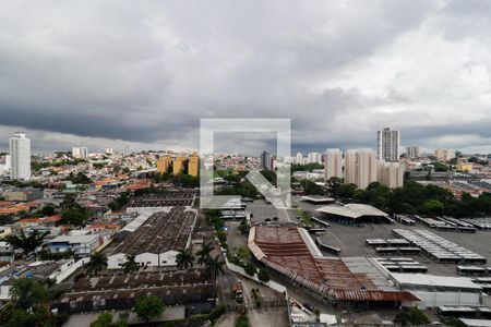 Vista da Suíte de apartamento para alugar com 1 quarto, 24m² em Vila Nova das Belezas, São Paulo