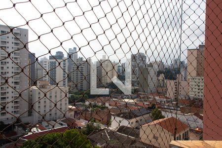 VISTA DA SACADA de apartamento à venda com 3 quartos, 106m² em Vila Itapura, Campinas