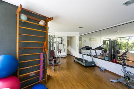 Apartamento para alugar com 260m², 4 quartos e 4 vagas Apartamento para alugar com 260m², 4 quartos e 4 vagasÁrea comum - Academia