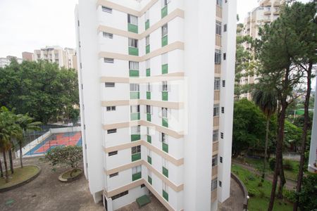 Vista da Sala de apartamento para alugar com 3 quartos, 70m² em Jardim Iris, São Paulo