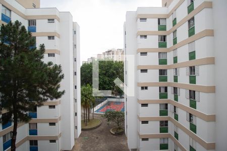 Vista Quarto 1 de apartamento para alugar com 3 quartos, 70m² em Jardim Iris, São Paulo