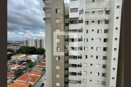 Vista de apartamento para alugar com 2 quartos, 60m² em Vila Butantã, São Paulo