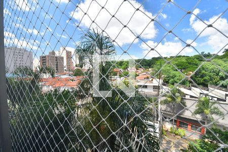 Sala - Vista de apartamento para alugar com 3 quartos, 88m² em Bosque, Campinas