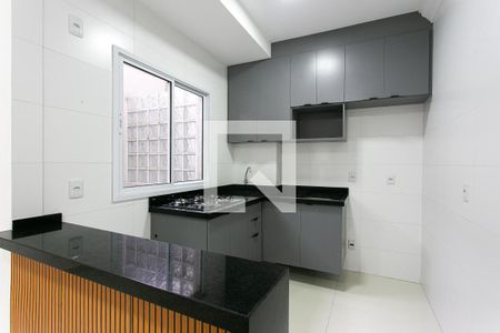 Cozinha de apartamento para alugar com 1 quarto, 28m² em Vila Matilde, São Paulo