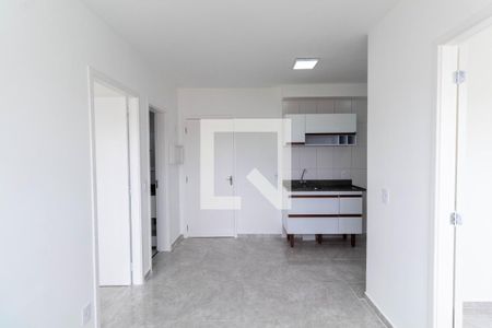 Sala/Cozinha de apartamento para alugar com 2 quartos, 33m² em Vila Pierina, São Paulo