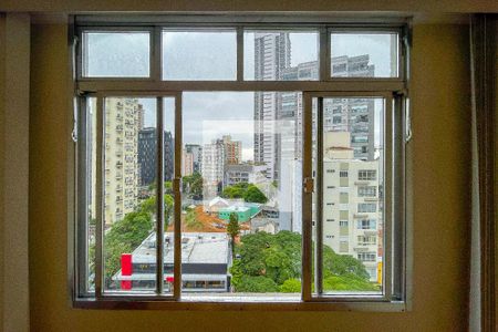 Janela  de apartamento à venda com 1 quarto, 51m² em Sumarezinho, São Paulo