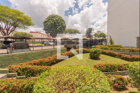 Vista da Sala de apartamento à venda com 3 quartos, 75m² em Conjunto Residencial Souza Queiroz, Campinas