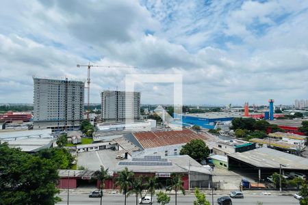 Vista do Quarto 1 de apartamento para alugar com 2 quartos, 49m² em Vila das Palmeiras, Guarulhos