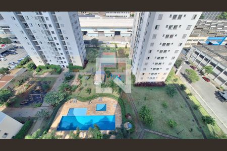 Vista da Sala de apartamento à venda com 3 quartos, 65m² em Lapa de Baixo, São Paulo