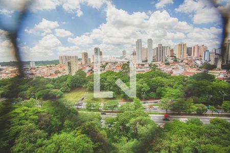 Vista de apartamento para alugar com 2 quartos, 51m² em Vila Monte Alegre, São Paulo