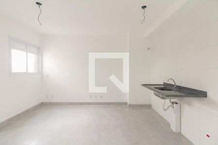 Studio de kitnet/studio para alugar com 1 quarto, 30m² em Vila Carrão, São Paulo