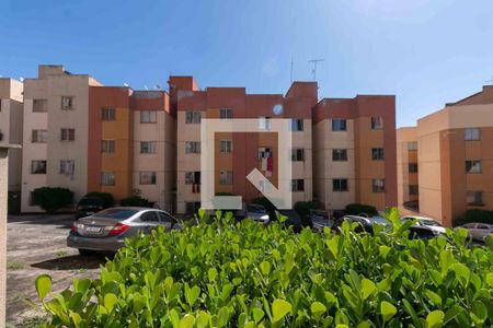 Vista Sala de apartamento à venda com 2 quartos, 50m² em Heliópolis, Belo Horizonte