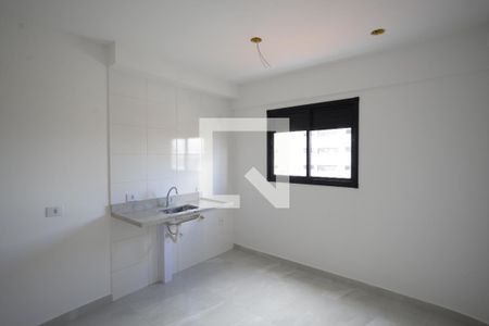 Cozinha de apartamento para alugar com 1 quarto, 30m² em Sacomã, São Paulo