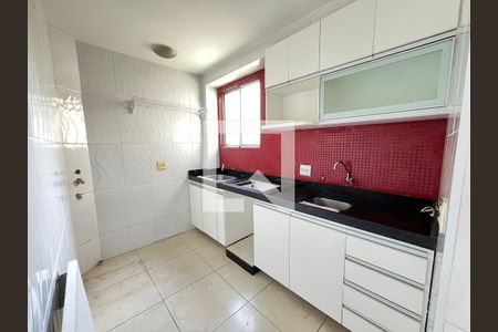 Cozinha de apartamento para alugar com 2 quartos, 47m² em Juliana, Belo Horizonte