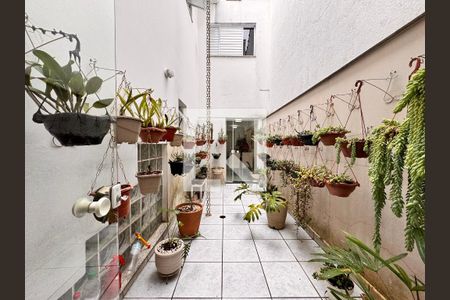 Jardim de inverno  de casa para alugar com 5 quartos, 270m² em Vila Curuçá, Santo André