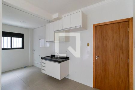 Cozinha de apartamento para alugar com 1 quarto, 45m² em Chácara da Barra, Campinas