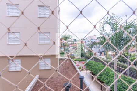 Vista da Suíte de apartamento para alugar com 3 quartos, 59m² em Jardim Paranapanema, Campinas