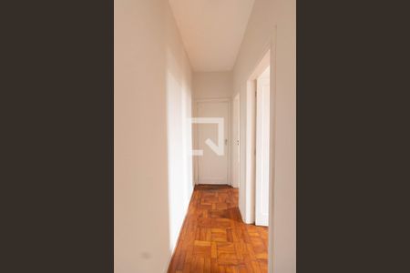 Corredor de apartamento para alugar com 2 quartos, 95m² em Santana, São Paulo