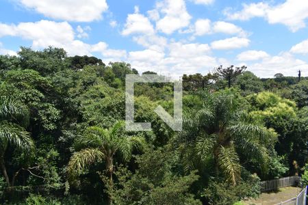 Suíte vista de apartamento para alugar com 3 quartos, 80m² em Santa Quiteria, Curitiba