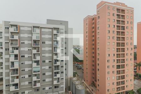 Varanda de apartamento para alugar com 3 quartos, 63m² em Vila Butantã, São Paulo