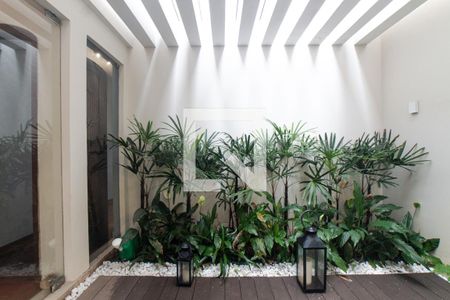 Sala - Jardim de Inverno  de casa para alugar com 4 quartos, 330m² em Sítio Barrocada, São Paulo