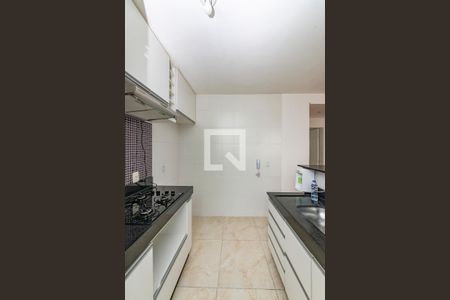 Cozinha de apartamento para alugar com 2 quartos, 48m² em Cabral, Contagem