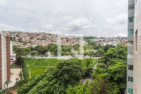 Vista da Varanda da Sala de apartamento para alugar com 3 quartos, 94m² em Vila Paris, Belo Horizonte