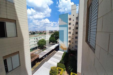 Vista da Sala  de apartamento para alugar com 2 quartos, 65m² em Jardim Anchieta, Campinas