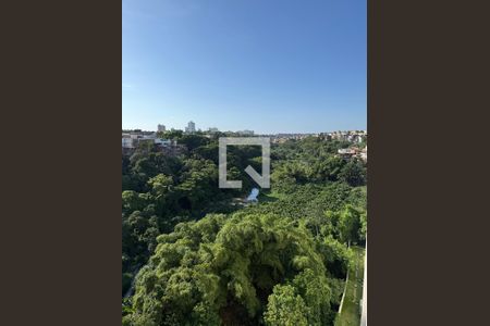 Vista de apartamento para alugar com 2 quartos, 39m² em Narandiba, Salvador